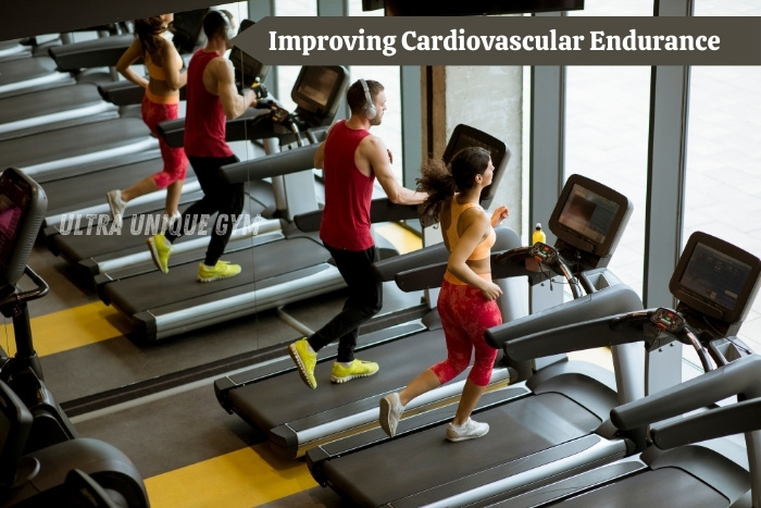 Modern fitness center in Ultra Unique Gym Dindigul offering personalized cardio workouts, weight loss programs, and endurance training